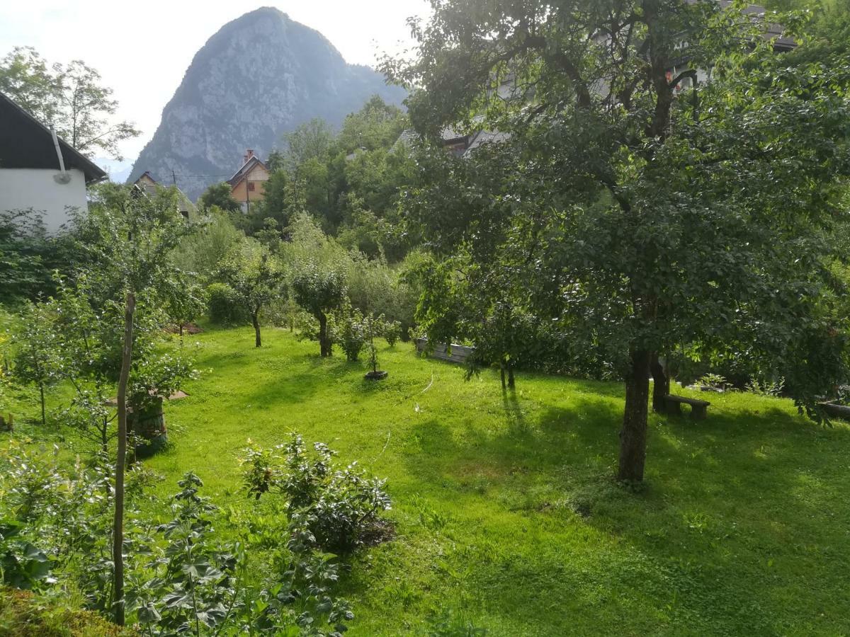 Apartma PR PEKOVCU Bohinj Eksteriør billede
